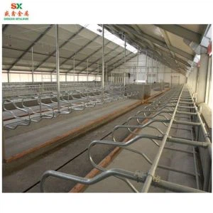 Baka nga Libre nga Pagkagawas